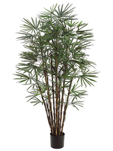 7' Honey Lady Palm Tree x17 with 1062 Leaves in Pot Two Tone Green (pack of 2)