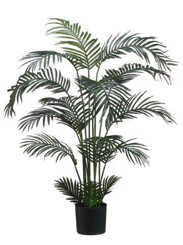 5' Areca Palm Tree x15 in Plastic Pot Green (pack of 2)