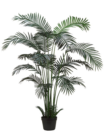 6' Areca Palm Tree x18 in Plastic Pot Green (pack of 2)