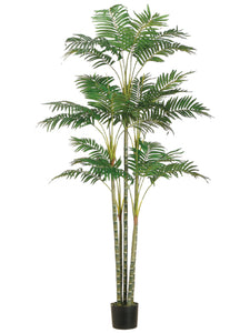 6' Areca Palm Tree x26 in Plastic Pot Green (pack of 2)