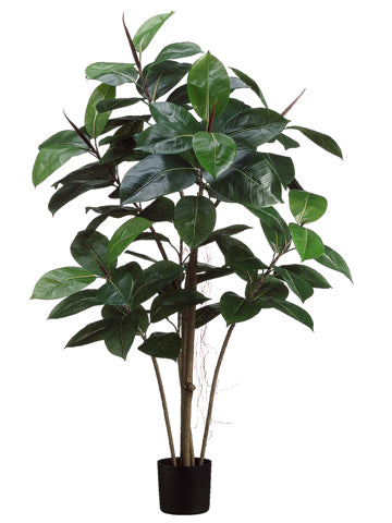 4' Rubber Plant x5 with 84 Leaves in Black Plastic Pot Green (pack of 2)