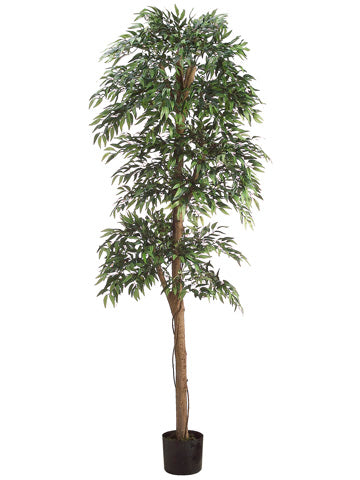 6' Roman Topiary Style Ruscus Tree w/3036 Leaves in Black Plastic Pot Green (pack of 2)