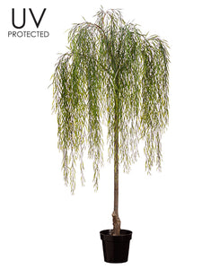 74" UV Protected Willow Tree in Plastic Pot Green (pack of 2)