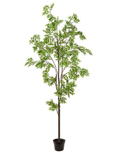 94" Wisteria Tree in Pot  Green (pack of 1)