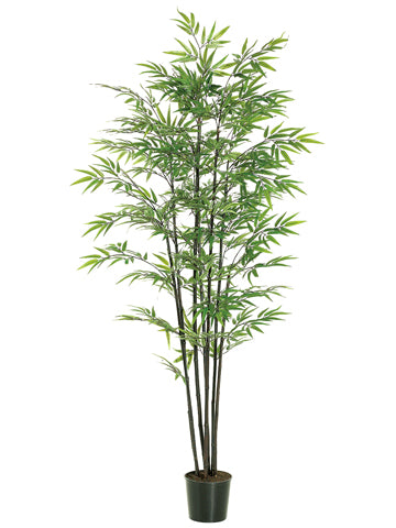 6' Black Bamboo Tree x7 With 1440 Leaves in Black Plastic Pot Green (pack of 1)