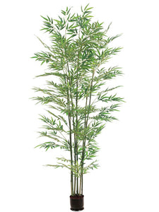 6' Bamboo Tree x7 With 1680 Leaves in Pot  (pack of 1)