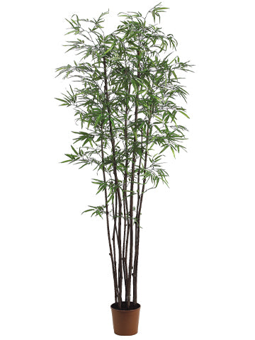 7' Black Bamboo Tree x9 With 1760 Leaves in Pot Two Tone Green (pack of 1)