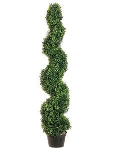 4' Pond Boxwood Spiral Topiary in Plastic Pot Green (pack of 1)
