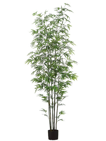 7' Mini Green Stem Bamboo Tree in Pot Two Tone Green (pack of 1)