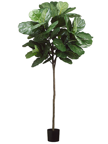 7' Fiddle Leaf Tree With 61 Leaves in Pot Green (pack of 1)