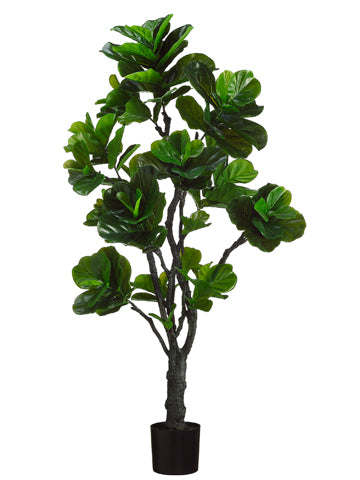 6' Eva Fiddle Plant w/144 Leaves in Black Plastic Pot Green (pack of 1)