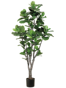 6' Fiddle Leaf Fig Tree w/PU Trunk in Plastic Pot Green (pack of 1)