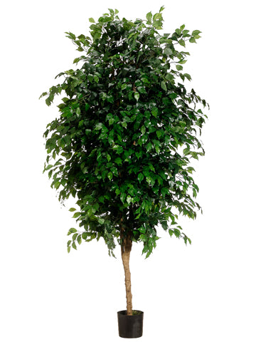 7' Ficus Tree With 3780 Leaves in Pot Green (pack of 1)