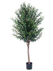 5' Olive Tree w/2560 Leaves in Pot Two Tone Green (pack of 1)