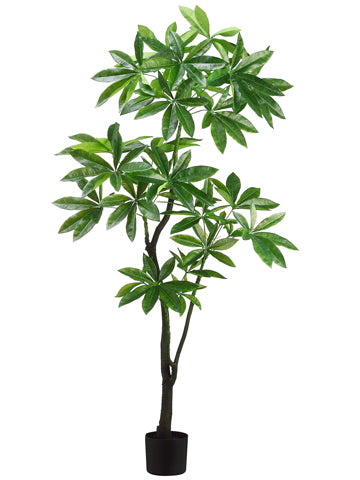 6' EVA Pachira Aquatica Tree  Green (pack of 1)