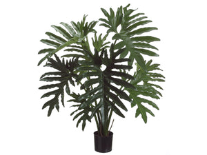 31" Selloum Philodendron Plant in Plastic Pot Green (pack of 1)