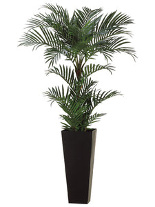 6' Areca Palm Tree in Tall Black Container Green (pack of 1)