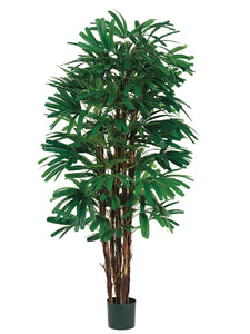 5' Rhapis Tree x5 With 658 Leaves in Pot Two Tone Green (pack of 1)