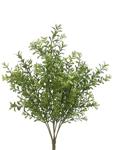 17" Boxwood Bush x7  Two Ton Green (pack of 12)