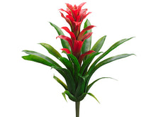 Load image into Gallery viewer, Red Green