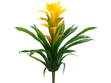 Load image into Gallery viewer, Yellow Green