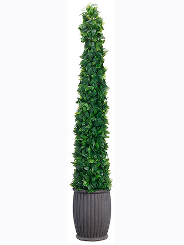 68