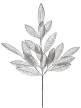Load image into Gallery viewer, Silver