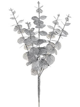 Load image into Gallery viewer, Silver