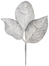 Load image into Gallery viewer, Silver