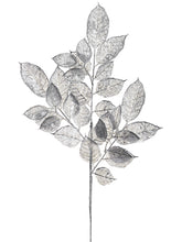 Load image into Gallery viewer, Silver