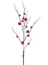 Load image into Gallery viewer, Red