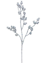 Load image into Gallery viewer, Silver