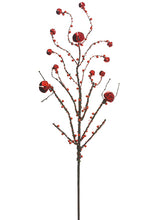 Load image into Gallery viewer, Red