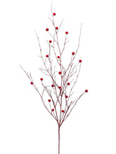 Load image into Gallery viewer, Red