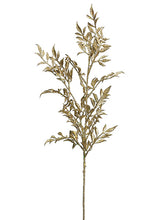 Load image into Gallery viewer, Gold