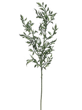 Load image into Gallery viewer, Green