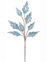 Load image into Gallery viewer, Blue Silver