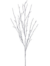 Load image into Gallery viewer, Silver