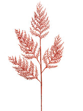 Load image into Gallery viewer, Red