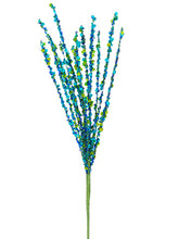 Load image into Gallery viewer, Peacock
