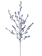 Load image into Gallery viewer, Blue Silver