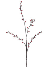 Load image into Gallery viewer, Red