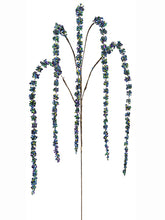 Load image into Gallery viewer, Peacock