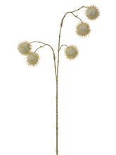 Load image into Gallery viewer, Beige