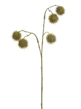 Load image into Gallery viewer, Light Brown