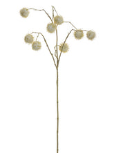 Load image into Gallery viewer, Beige