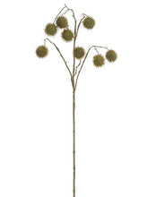 Load image into Gallery viewer, Light Brown
