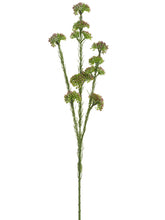 Load image into Gallery viewer, Green Burgundy