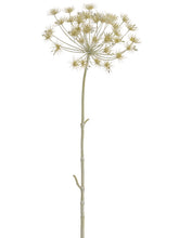 Load image into Gallery viewer, Beige