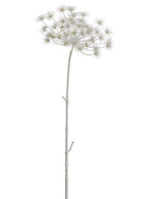 Load image into Gallery viewer, White